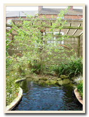 Flat and pond
